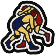 best of wrestling patches